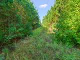TBD Cat Road - Photo 9
