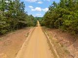 TBD County Road 2993, 28 Ac - Photo 11
