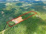 TBD County Road 2993, 28 Ac - Photo 13