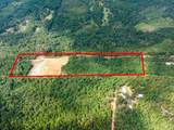 TBD County Road 2993, 28 Ac - Photo 14