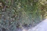 tbd lot 3 County Road 2005 - Photo 1