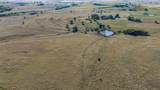 1332 County Road 423 - Photo 35