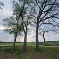 190 County Road 3198 - Photo 38
