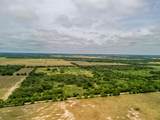 TBD 20 Acres County Road 159 - Photo 1