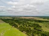 TBD 20 Acres County Road 159 - Photo 12