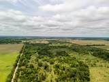 TBD 20 Acres County Road 159 - Photo 13