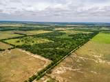 TBD 20 Acres County Road 159 - Photo 2