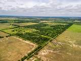 TBD 20 Acres County Road 159 - Photo 3
