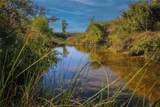 TBD Hundley Road - Photo 15