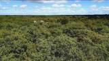 TBD Lot 7 Muy Grande Road - Photo 5