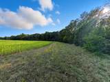 1410 County Road 221 - Photo 20