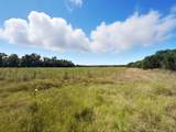 1410 County Road 221 - Photo 6