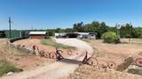 324 Private Road 2621 - Photo 6