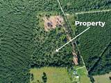 262 Maze Road - Photo 10