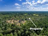 262 Maze Road - Photo 12