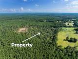 262 Maze Road - Photo 14