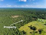 262 Maze Road - Photo 15