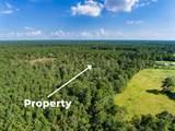 262 Maze Road - Photo 18