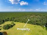 262 Maze Road - Photo 19