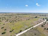 TBD-61.63 Acres Cr 414 - Photo 10