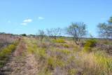 TBD-61.63 Acres Cr 414 - Photo 11