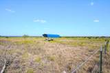TBD-61.63 Acres Cr 414 - Photo 19