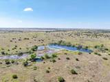 TBD-61.63 Acres Cr 414 - Photo 22