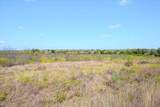 TBD-61.63 Acres Cr 414 - Photo 23