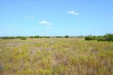 TBD-61.63 Acres Cr 414 - Photo 25