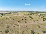 TBD-61.63 Acres Cr 414 - Photo 26