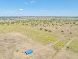 TBD-61.63 Acres Cr 414 - Photo 28