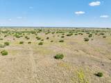 TBD-61.63 Acres Cr 414 - Photo 29