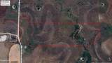 TBD-61.63 Acres Cr 414 - Photo 39