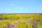 TBD-61.63 Acres Cr 414 - Photo 7