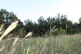 TBD County Road 147 - Photo 15