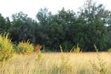 TBD County Road 147 - Photo 6