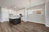 4733 Vizsla Lane - Photo 10