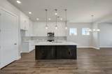 4733 Vizsla Lane - Photo 11