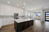 4733 Vizsla Lane - Photo 13