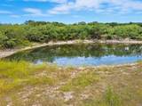 TDB 482 Acres W Fm 217 - Photo 12