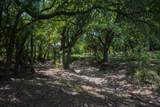 TDB 482 Acres W Fm 217 - Photo 27
