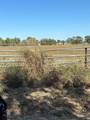 7067 State Highway 78 - Photo 29