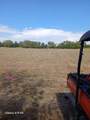 TBD County Road 4105 - Photo 5