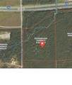 R18483 Webb Rogers Road - Photo 1