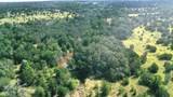 170+/- ac TBD County Road 386 - Photo 11
