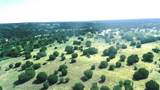 170+/- ac TBD County Road 386 - Photo 12