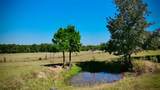 TBD County Road 3418 - Photo 24