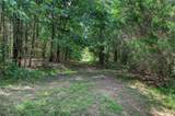 TBD Cross Timber Estates Drive - Photo 12