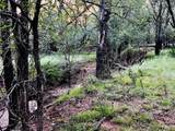 701 County Road 319 - Photo 8