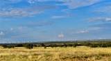 11595 Fm 2028 - Photo 33